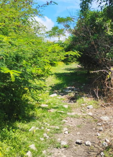 ruta2
