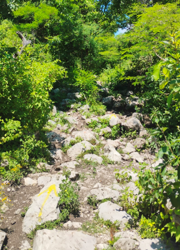 ruta3