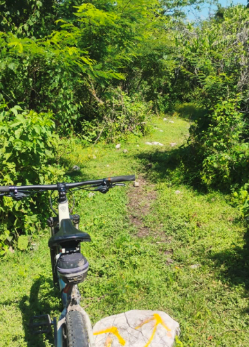 ruta4