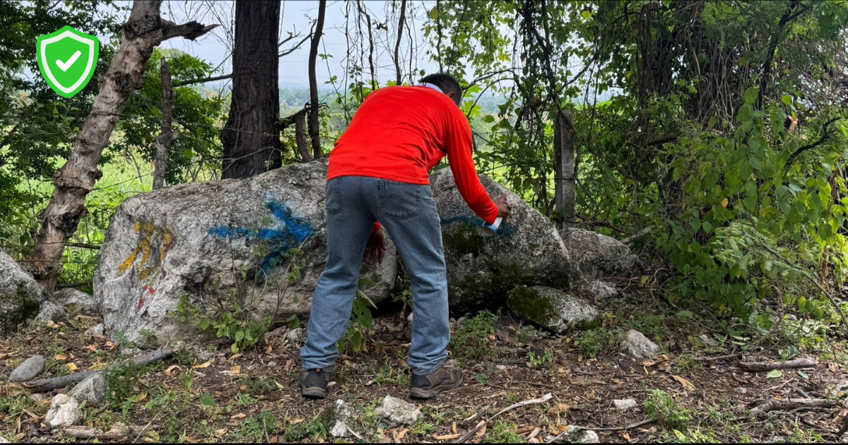 05 (1)