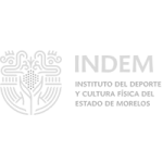 Logo INDEM